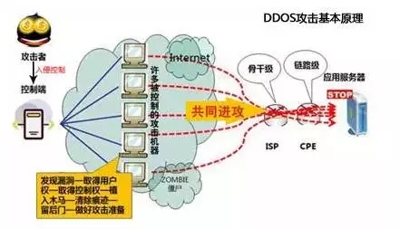 DDoS到底是什么